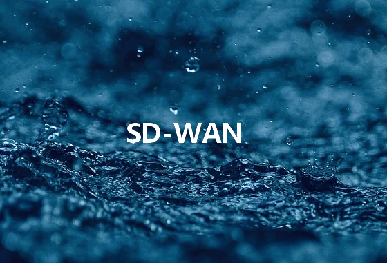 云杰SD-WAN解決方案助企業(yè)推動全球網絡