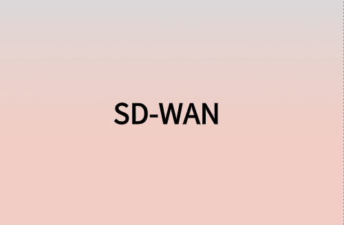 對企業(yè)而言，SD-WAN意味著什么?