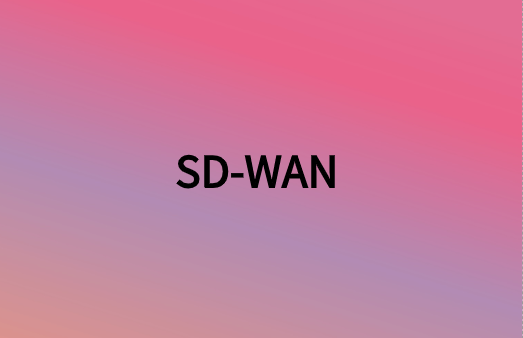 除連接性外，SD-WAN還提供很多網(wǎng)絡(luò)優(yōu)勢(shì)